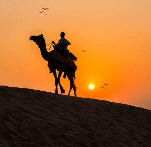 Sunrise Desert Safari with Camel Ride